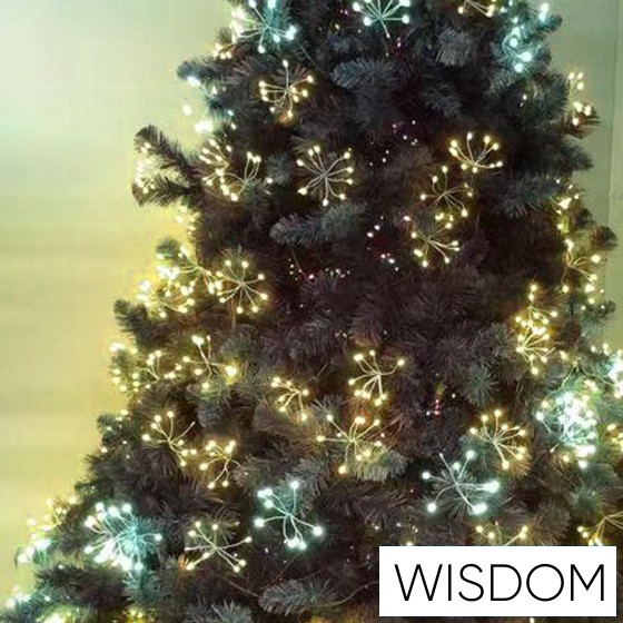 WISDOM tűzijáték fényfüzér meleg fényű 20dbx10LED 6m átlátszó kábellel Max Cs. 4db IP44