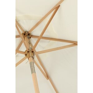 deLOHN Corypho Napernyő