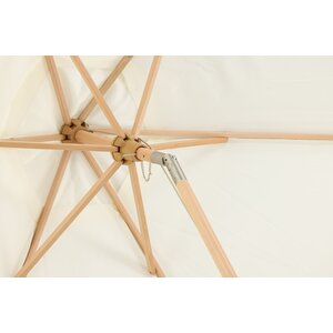 deLOHN Corypho Napernyő