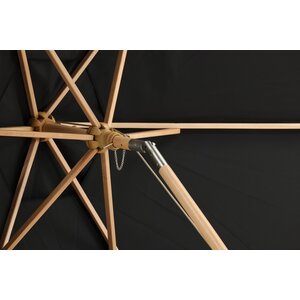 deLOHN Corypho Napernyő