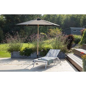 deLOHN Corypho Napernyő